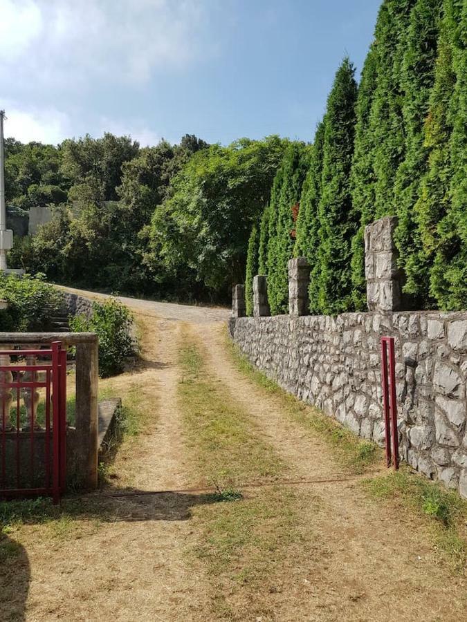Kuca Pavle Trsteno Budua Esterno foto